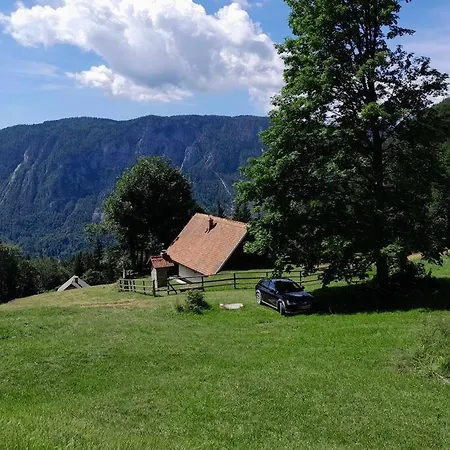 شاليه A Window To The Alps