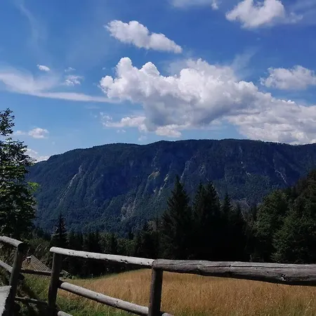 A Window To The Alps *